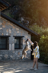 A young woman trains her dog to jump in a sunlit summer garden with a stone house