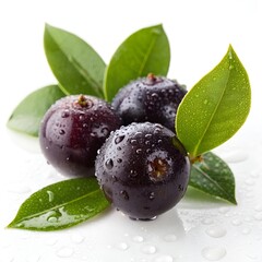Freshly harvested jabuticaba fruits with green leaves and water droplets on white background