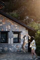 A young woman trains her dog to jump in a sunlit summer garden with a stone house