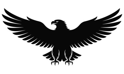 eagle vector illustration