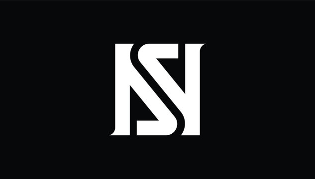 connected alphabet letter ns, sn logo design