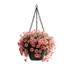 Vibrant Pink Petunias in a Hanging Basket on a white background.