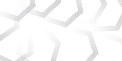 Abstract gray gradient minimal geometric polygonal diagonal hipster lines vector background design with stylish monochrome stripe. modern vector design for poster, banner, wallpaper	
