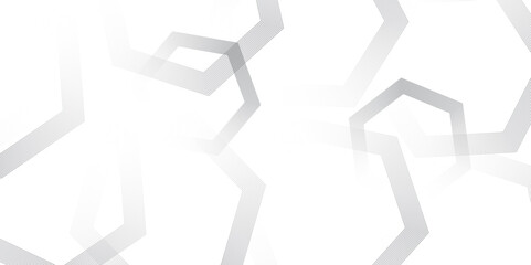 Abstract gray gradient minimal geometric polygonal diagonal hipster lines vector background design with stylish monochrome stripe. modern vector design for poster, banner, wallpaper	
