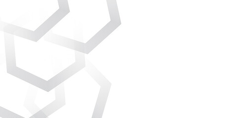 Abstract gray gradient minimal geometric polygonal diagonal hipster lines vector background design with stylish monochrome stripe. modern vector design for poster, banner, wallpaper	