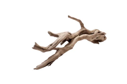 A piece of driftwood, intricately shaped and weathered, isolated on a transparent background. background removed
