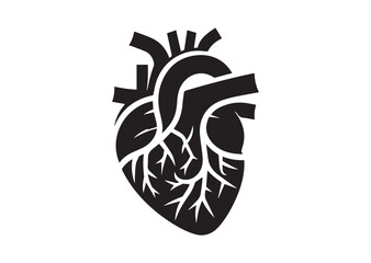 Anatomical Heart Silhouette Black Vector White Background