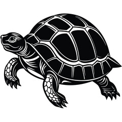 Fototapeta premium Vector illustration of turtle tortoise reptile black and white silhouette