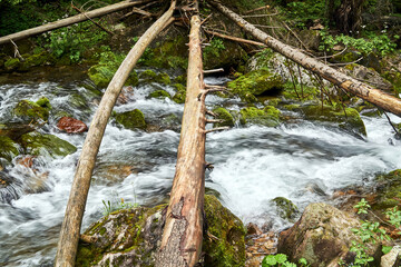 fallen tree trunks lying across a mountain stream in the Tatra Mountains