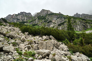 rock rubble and limestone rocks in fog in the Tatra Mountains