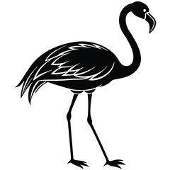 Naklejka premium Flamingo illustration black and white vector bird graphic art silhouette