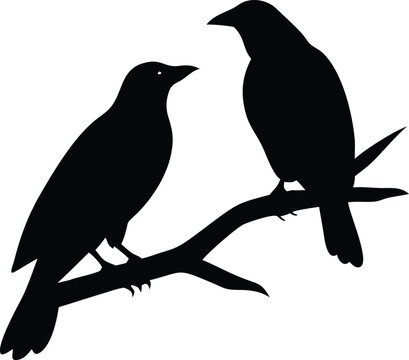 Crow silhouette of two perched crows on a branch, great for Halloween, mystery, and nature-inspired dark vector art