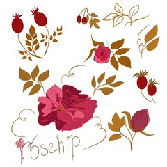 set with flowers and leaves and rosehip, pattern, decor, art, symbol, part of the logo, logo, flower, set