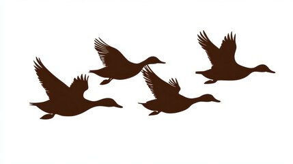 Naklejka premium Ducks Flying Silhouette. Mallard Ducks Soaring in Flight, Water Birds Circling in the Sky