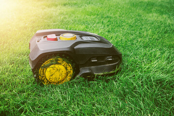 Electronic robotic lawn mower on green grass. Automatic lawn mower robot mower on grass, lawn in summer sun light.