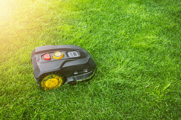 Electronic robotic lawn mower on green grass. Automatic lawn mower robot mower on grass, lawn in summer sun light.