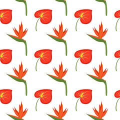 Seamless floral pattern for fabric and textile. Vector illustration. Red anthurium and strelitzia on white background. Tropical print for packaging and wrapping paper. Summer ornament.