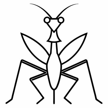 black and white praying mantis outline clip art preview