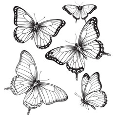 Butterflies Flying Doodle Illustration – Hand-Drawn Black and White Line Art on Transparent Background