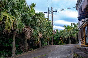 八丈島の道路C