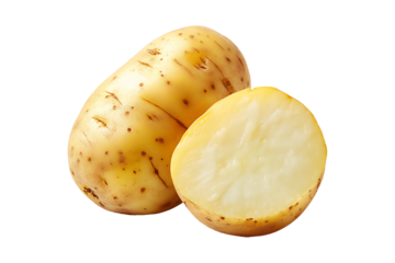 fresh raw potato vegetable isolated on a transparent background