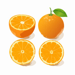Fresh Oranges Juicy Citrus Fruit, Halved and Whole, Vector Illustration