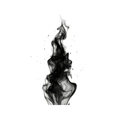 Fototapeta premium Abstract Black and White Ink Swirl, Elegant Fluid Design Element