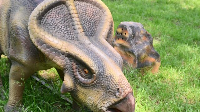 Living statue of protoceratops in forest on grass. Dinosaur park doll, entertainment for children, prehistoric creature, museum