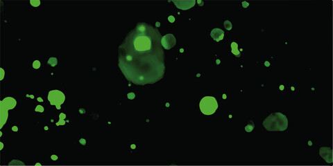 Abstract composition with colored flying spheres on a black background.green abstract blurred bokeh of christmas lights on black isolated background.