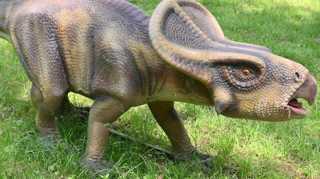 Living statue of protoceratops in forest on grass. Dinosaur park doll, entertainment for children, prehistoric creature, museum