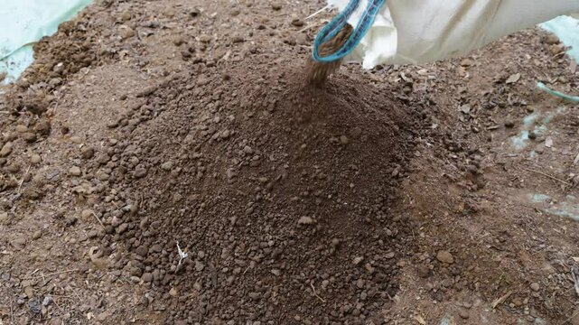 vermi compost and garden soil mixture preparation for organic farming at outdoor