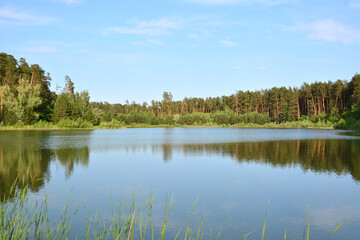A serene lake reflecting a spruce forest under a clear blue sky in the evening
