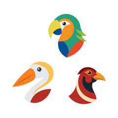 Bird flat color bundle 