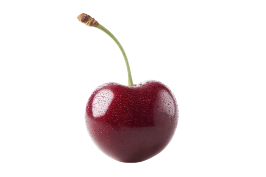 Close-up of fresh red cherry with stem and water droplets isolated on black background, cut out