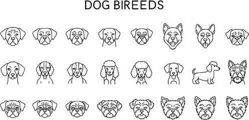 Dog Breeds line icon set. Vector pictograms of labrador, golden retriever, german shepherd, bulldog, beagle, poodle, dachshund, pug, shih tzu, maltese, yorkshire terrier thin linear illustration. 