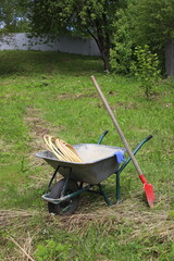 a metal garden wheelbarrow is in the garden, a shovel, a hose and blue work gloves are in it and...