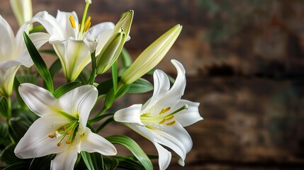 Fototapeta premium Divine Petals: Unraveling the Elegance and Symbolism of Lilies in Easter Traditions – A Tribute to Purity, Resurrection, and the Blossoming Spirit of Spring Celebrations
