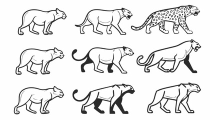 Line style icons of all big cats: lion, tiger, leopard, jaguar, snow leopard, cheetah, cougar, caracal, clouded leopard, lynx.
