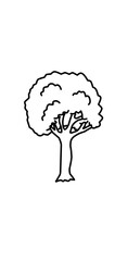 small  tree illustration
