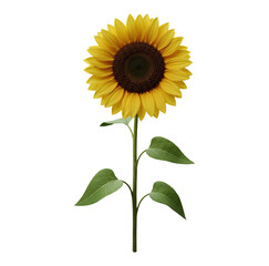 Flor Girassol com Caule