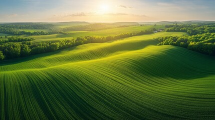 Panoramic view of green fields with hills at sunset, background for nature and tourism themes.