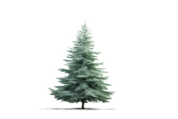 Fototapeta premium Tall evergreen pine tree isolated on transparent background, cut out