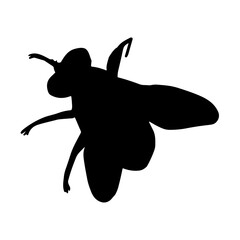 Fly Silhouette
