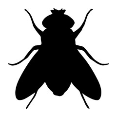 Fly Silhouette