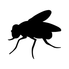 Fly Silhouette