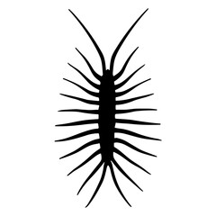 Insect silhouette