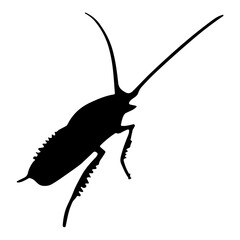 Insect silhouette