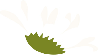 Daisy Flower with white petals