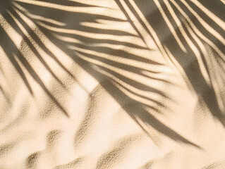 Obraz na płótnie Canvas Top down macro photography of fine beach sand with shadow of tropical leaf. Minimalistic and elegant summer texture with natural lighting and attractive design. Vacation background