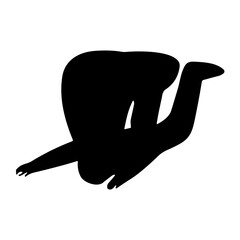 Skydiving silhouette